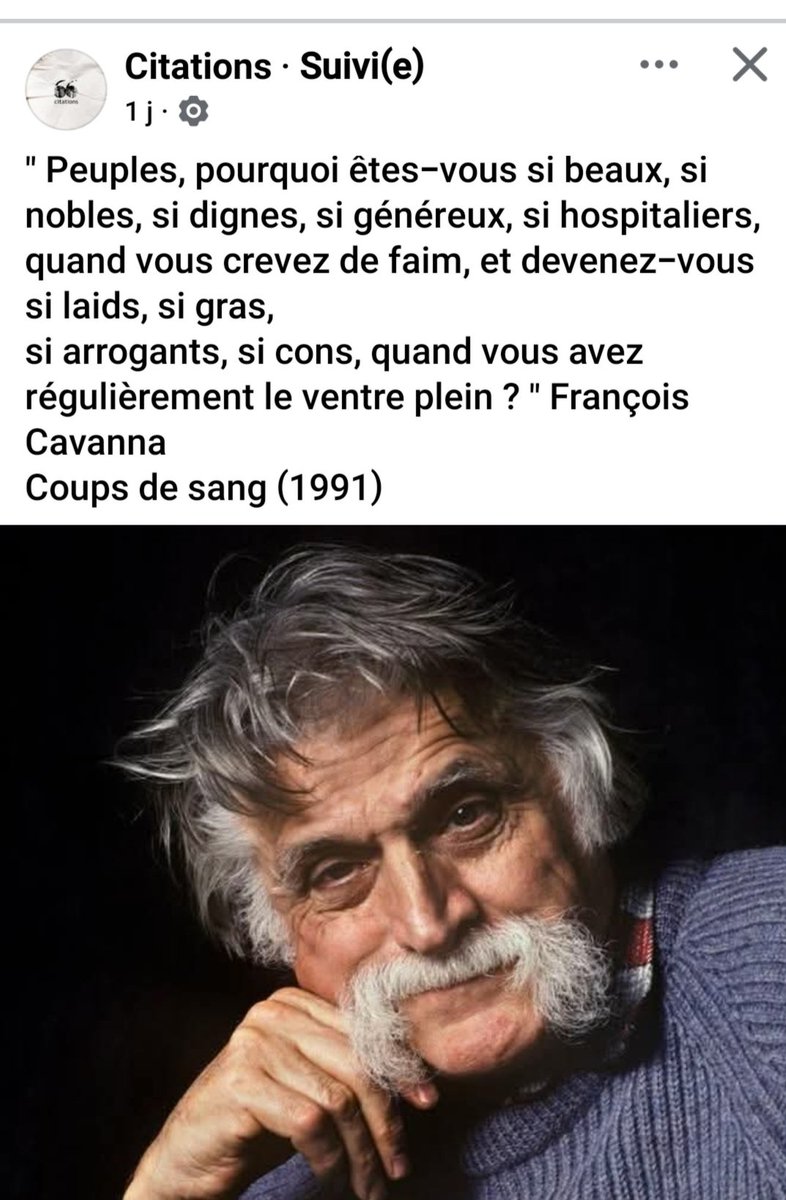 Veronika 2 7 🇨🇵🐢🕊 tweet media