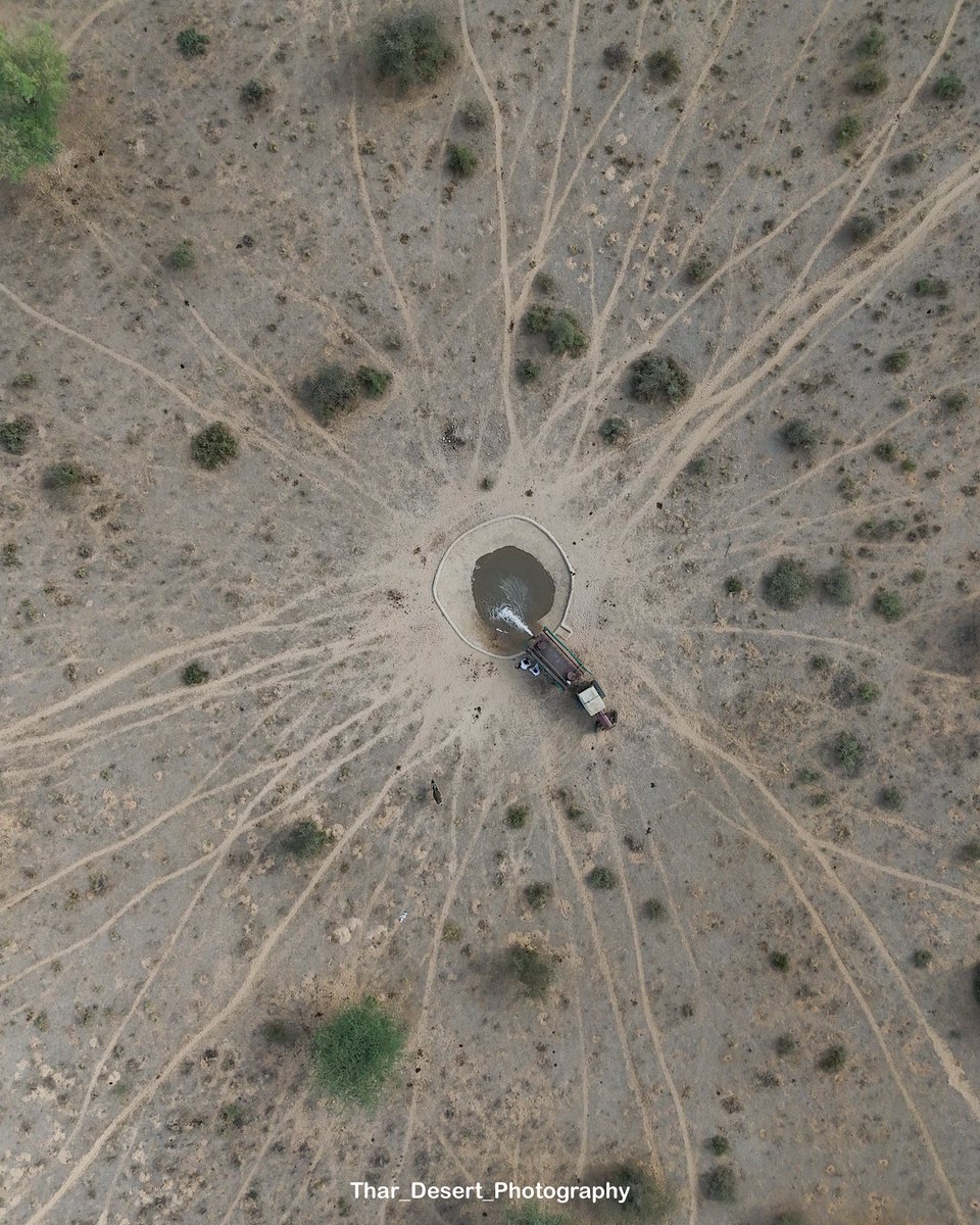 Thar_Desert_Photography tweet media