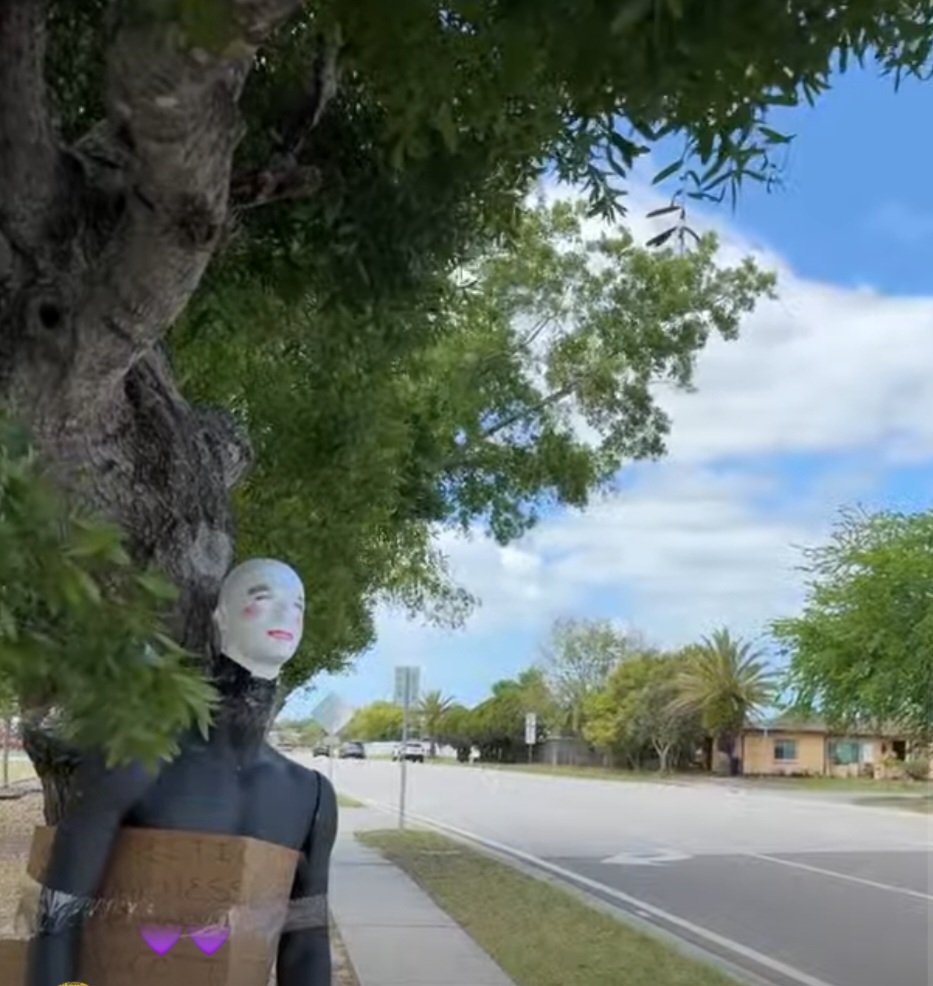 Salty Sleuth Investigates tweet media