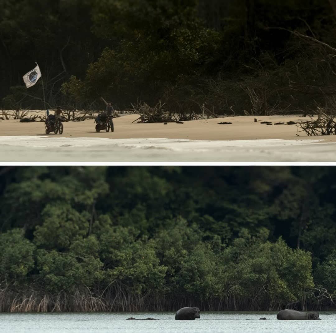 Découverte : #Setté #Cama, entre Océan &amp; Savane, les vagues déferlent majestueusement, les buffles paissent paisiblement, les hippopotames émergent de l’eau, offrant un moment rare où l’aventure humaine rencontre la majesté de la faune sauvage. 
📷 rjrossphoto #NerylwTv