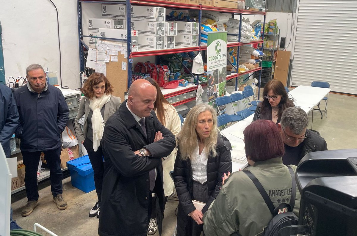 Vicente Marí Torres tweet media