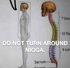 Litberries tweet media