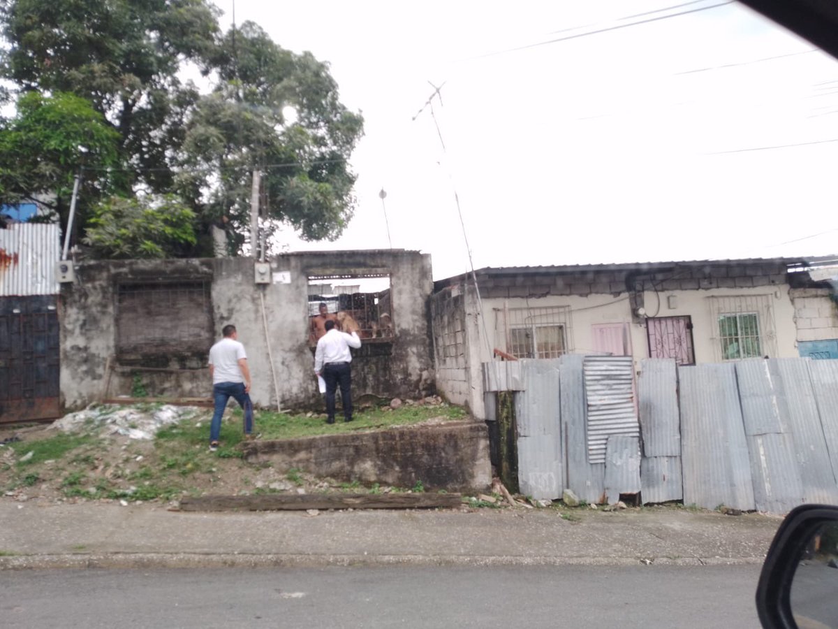 181 Responde tweet media