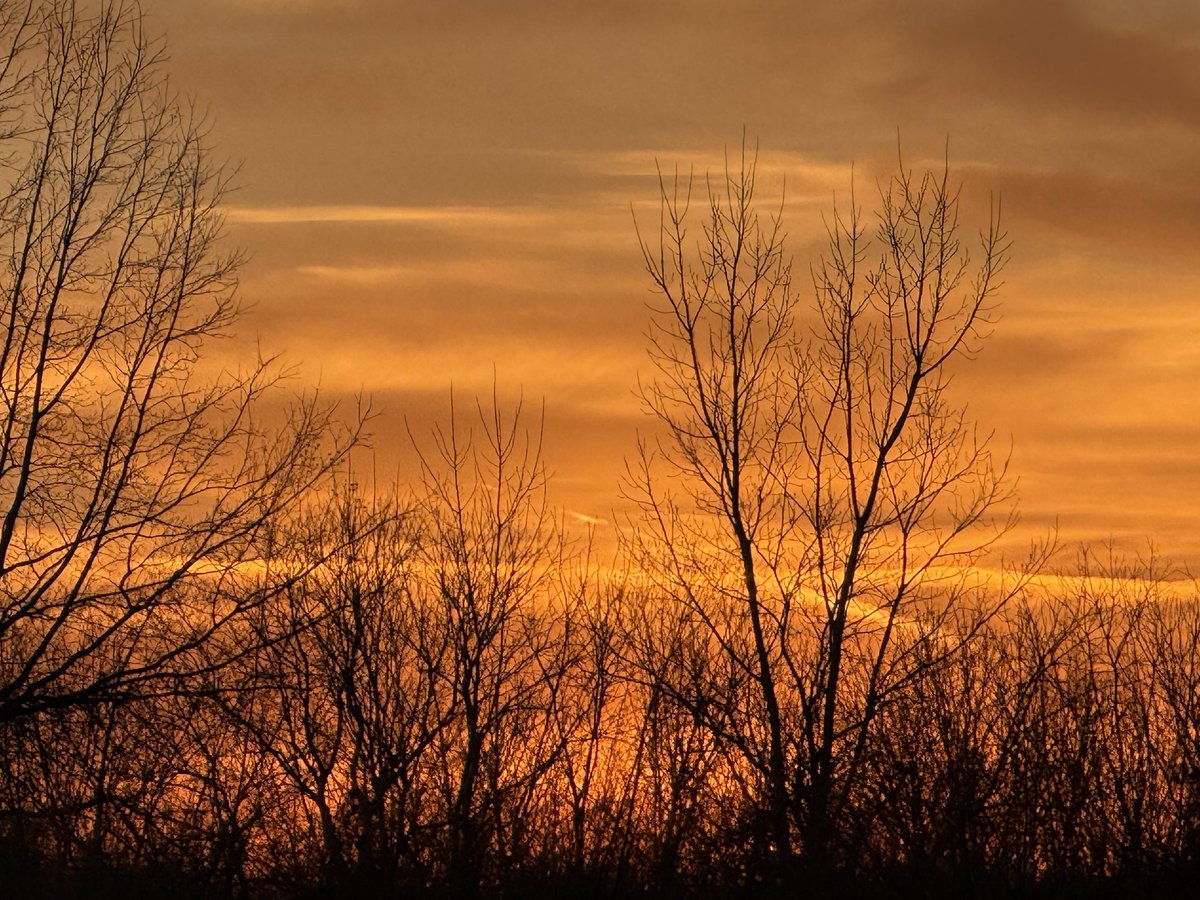 FPL_Devils (Muntasir) 🇧🇩 tweet media