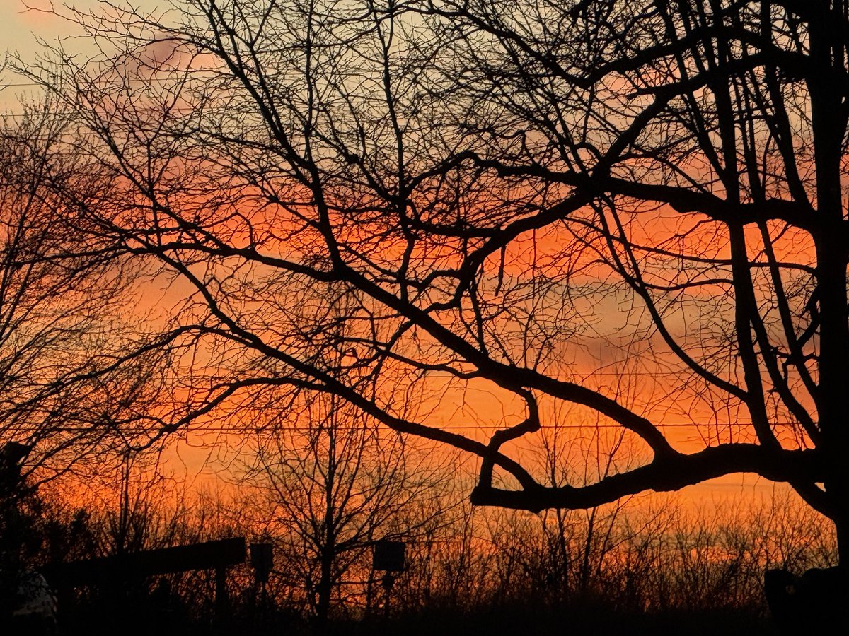 FPL_Devils (Muntasir) 🇧🇩 tweet media