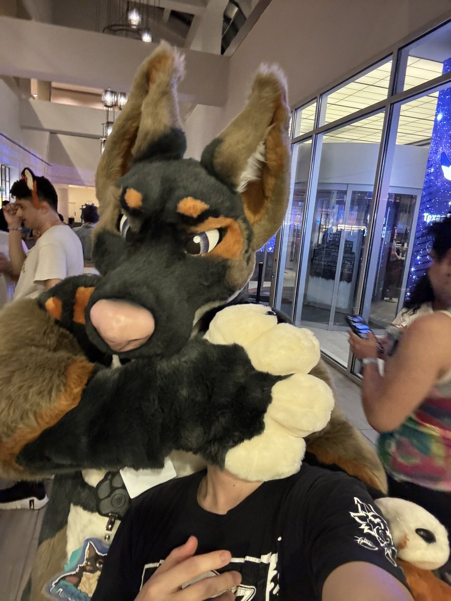 Frisco! 🔜 TFF FWA tweet media