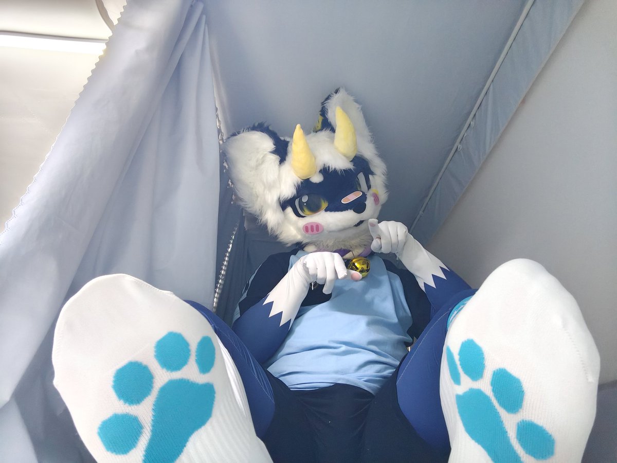 RennautFox's tweet photo. 来点白袜jio🥵 https://t.co/YIHJDVb5Le