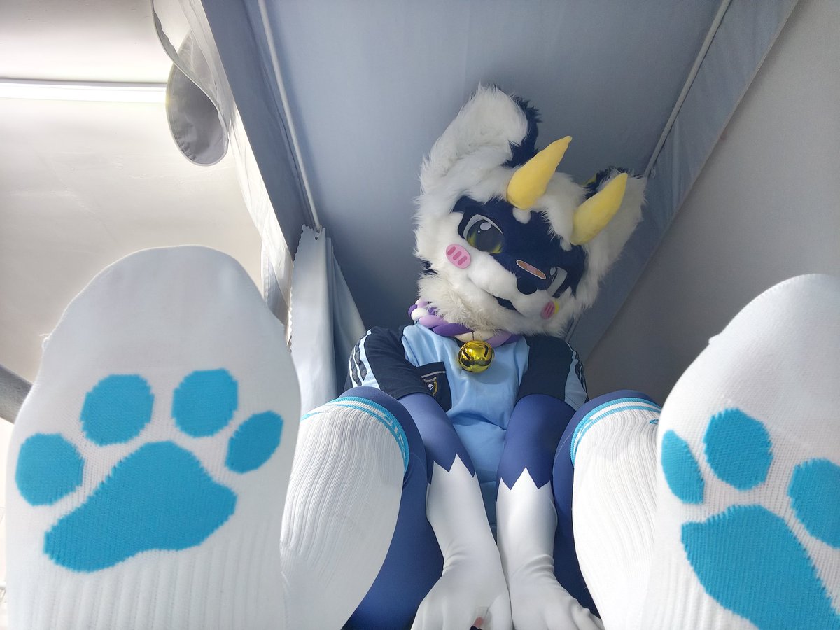 RennautFox's tweet photo. 来点白袜jio🥵 https://t.co/YIHJDVb5Le