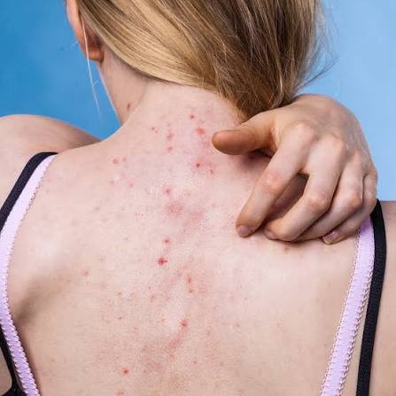 GOLDEN RETWEETER🦮 tweet media