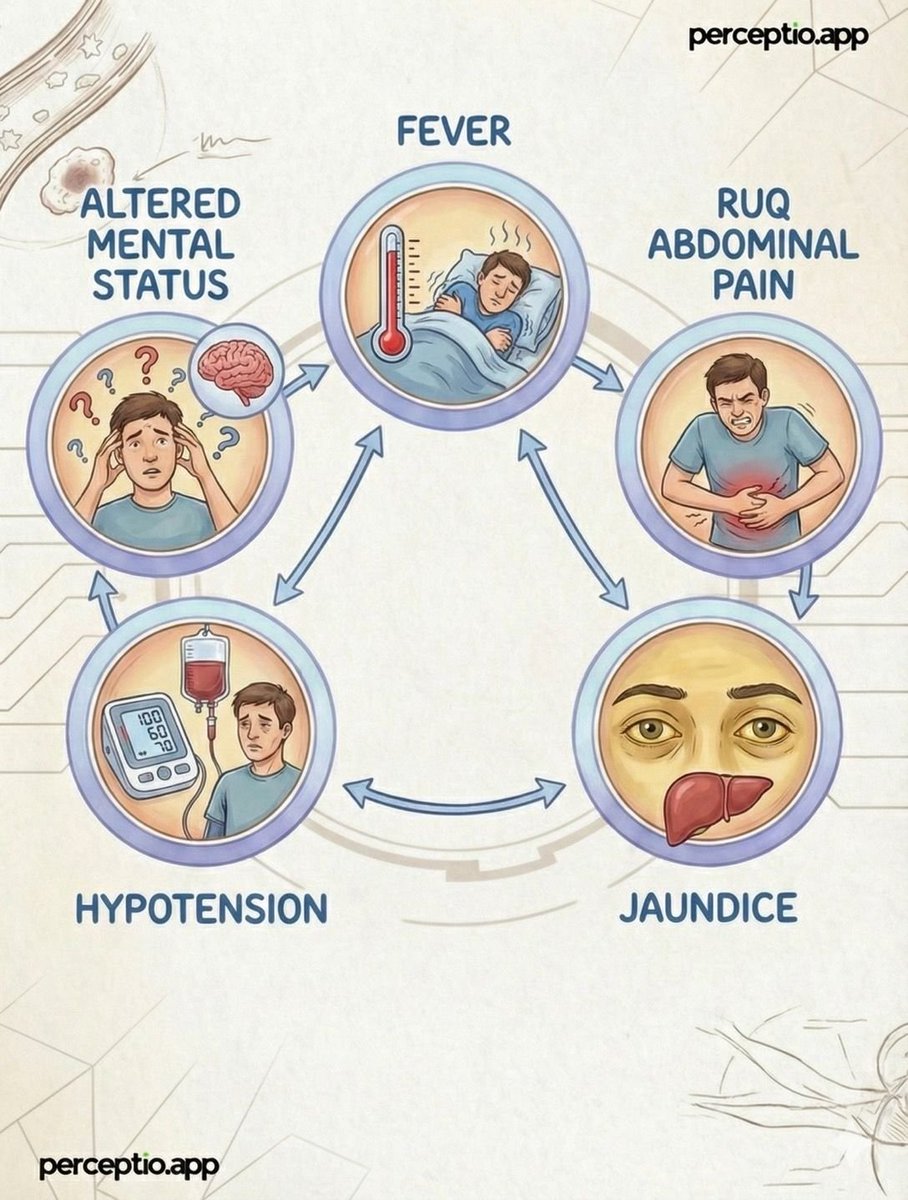 احمد tweet media