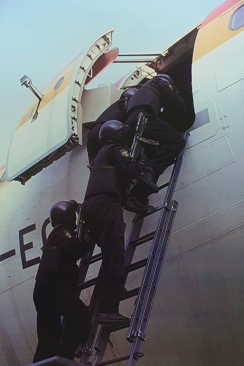 TP🤘🏻 tweet media