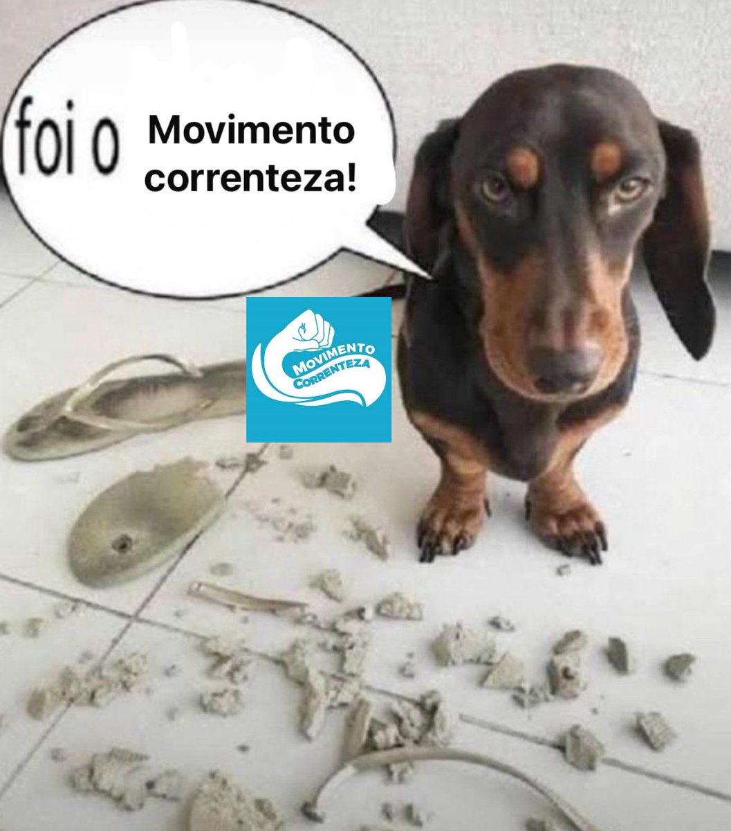 kaue damasceno 🇵🇸 tweet media