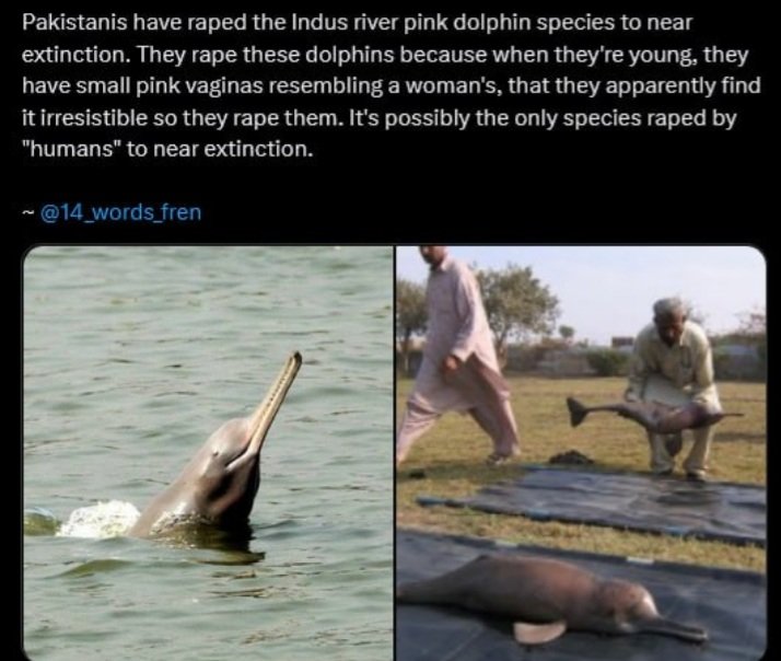 Dusty Bootes tweet media