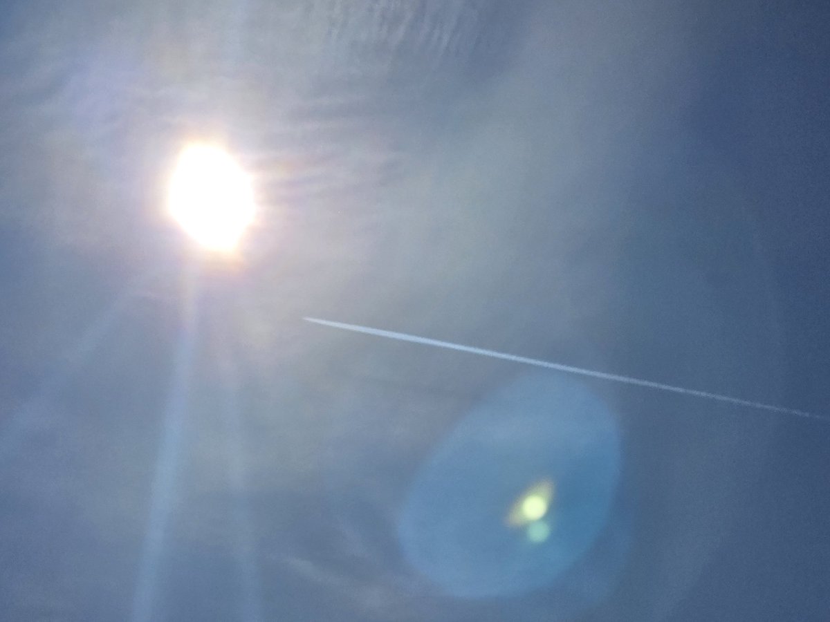 WAILWOADER1's tweet image. Palm sprayday.
#Chemtrails