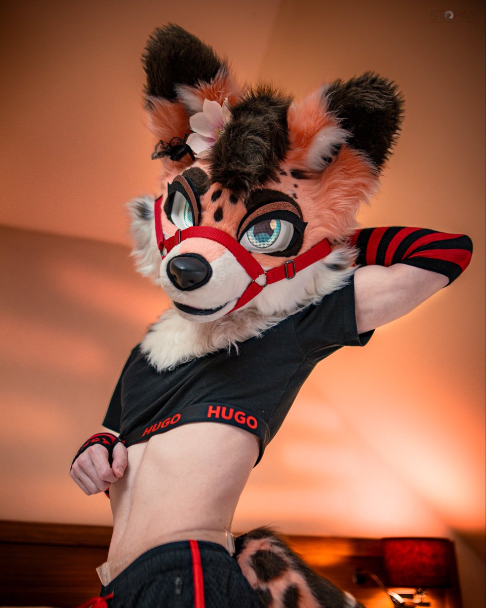 Sion Fox tweet media