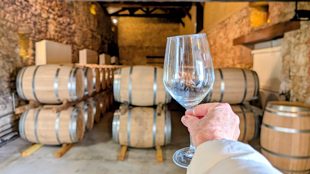 Cat 🧡 🐿 📸 tweet media