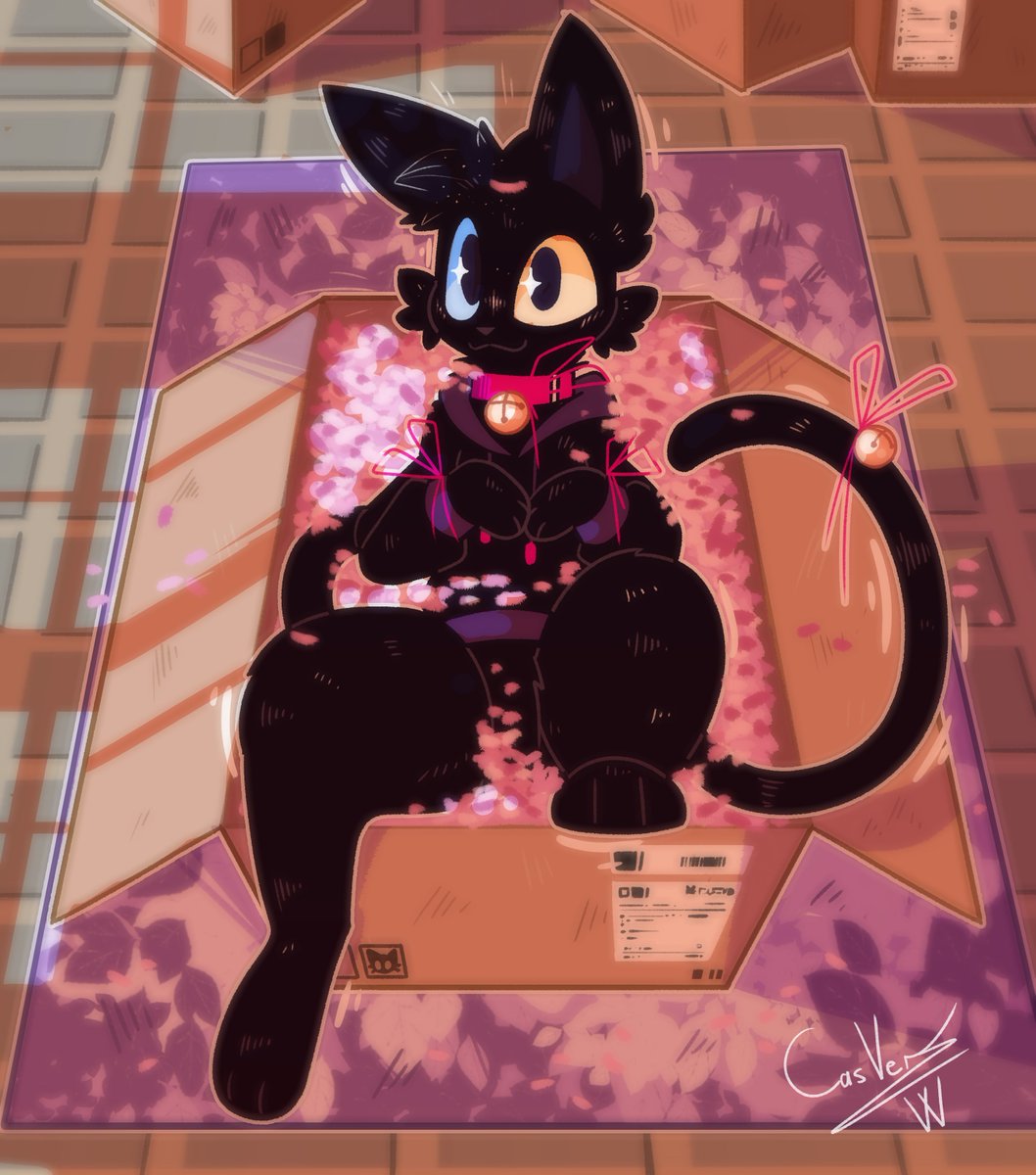 Cas 🏵 tweet media