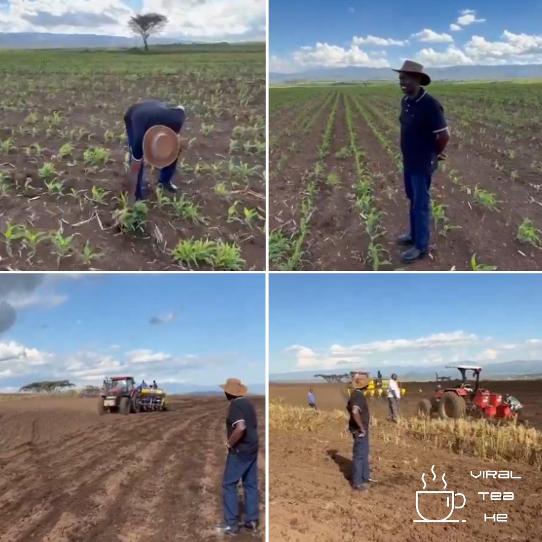 Vantage Ke tweet media