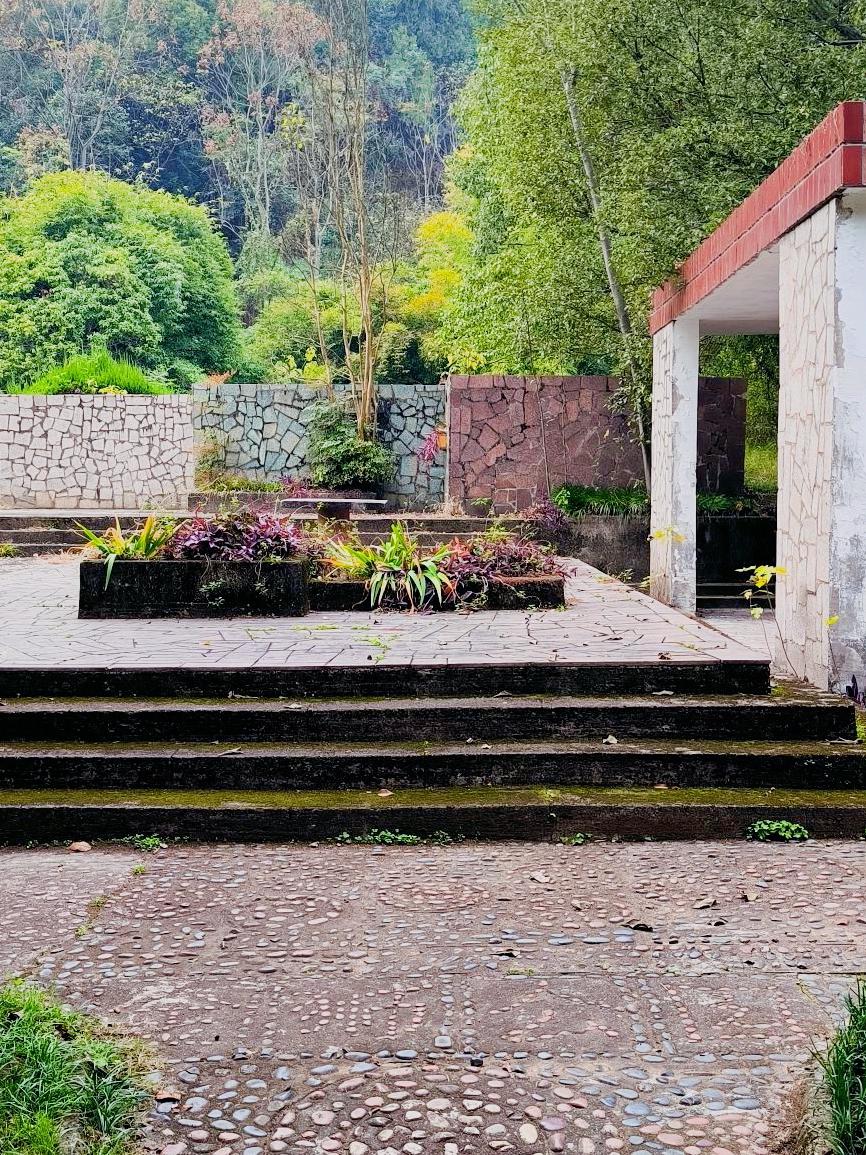 Linda Williams tweet media