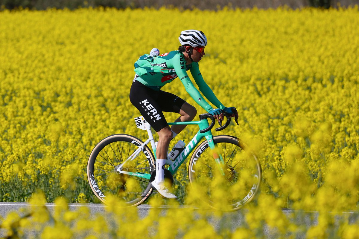 Equipo Kern Pharma tweet media