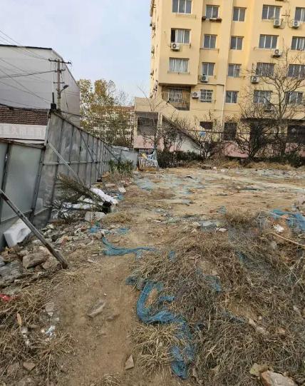 Bruno Lodo Pereira tweet media