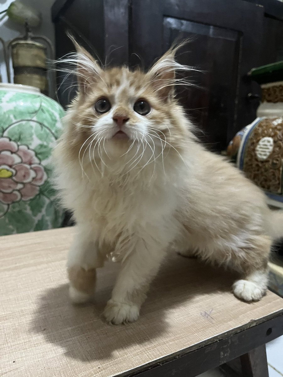 𝐝eden’sz tweet media