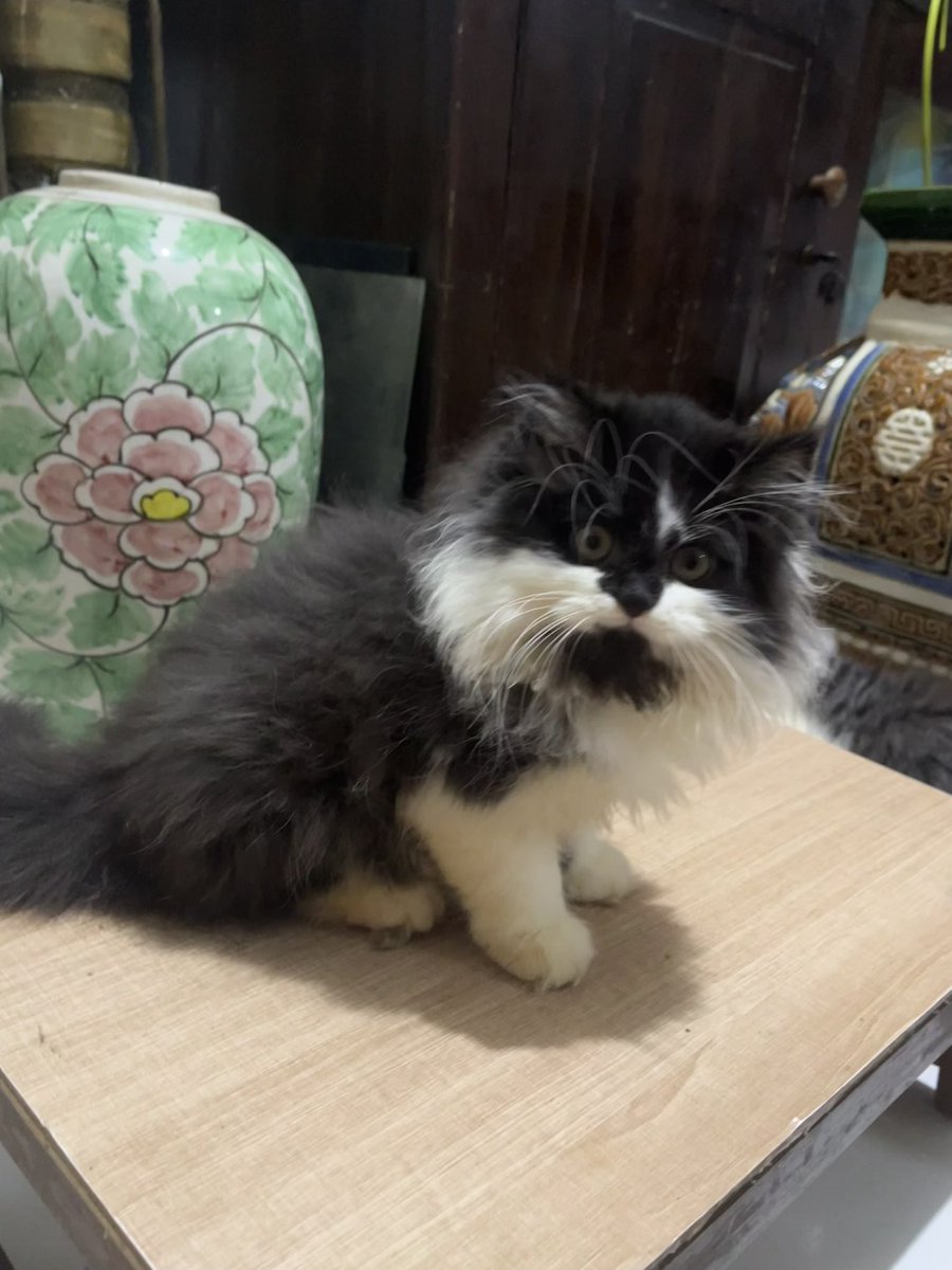 𝐝eden’sz tweet media