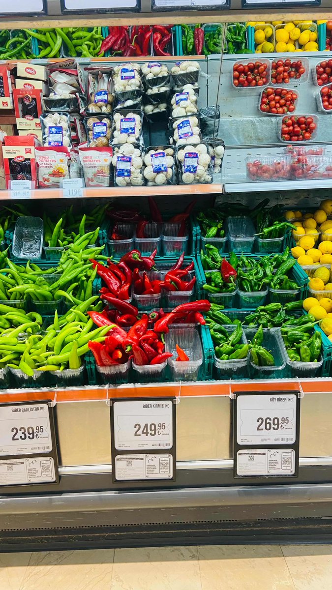 Musa Özsoy tweet media