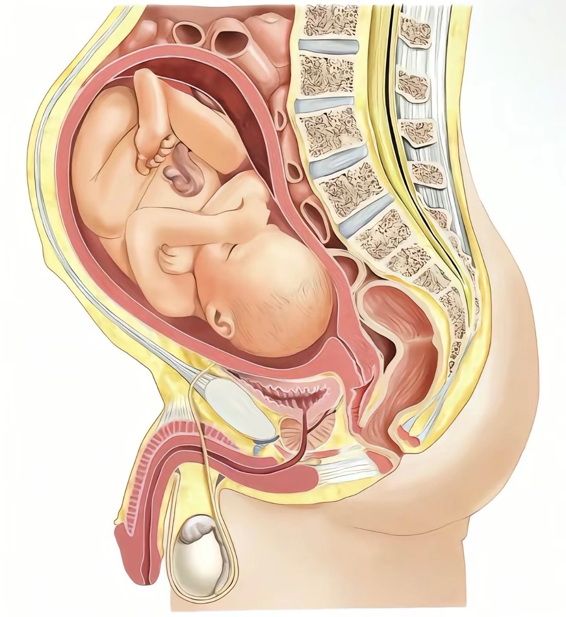 由依🍥 tweet media