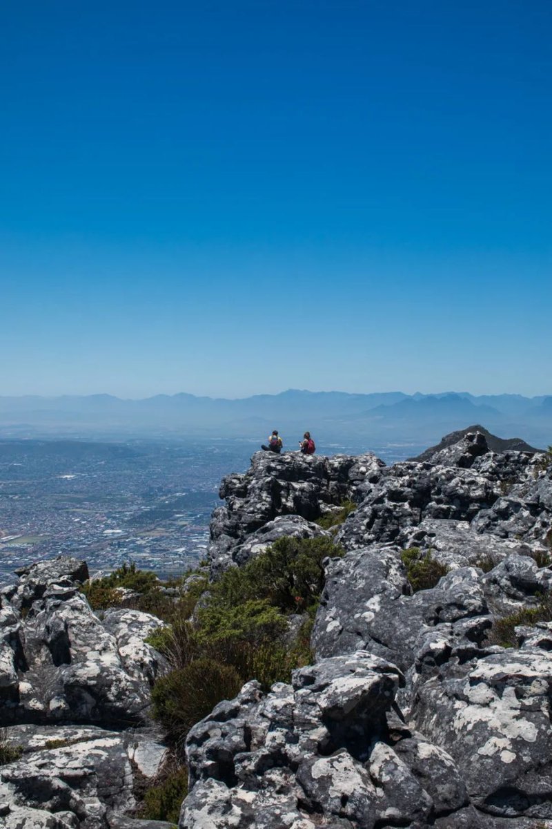 marinvenables tweet media