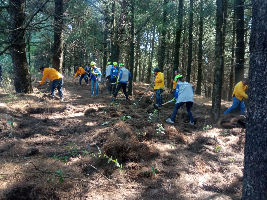 PROBOSQUE tweet media