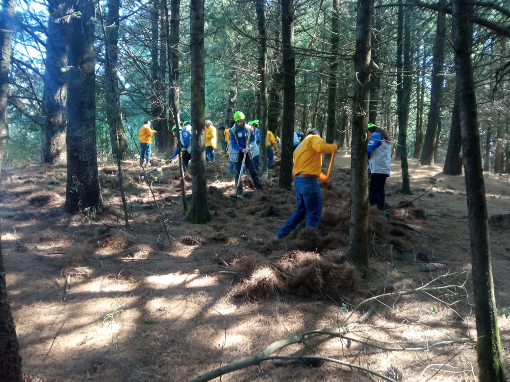 PROBOSQUE tweet media