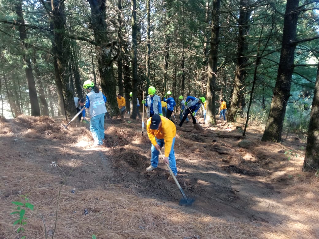 PROBOSQUE tweet media