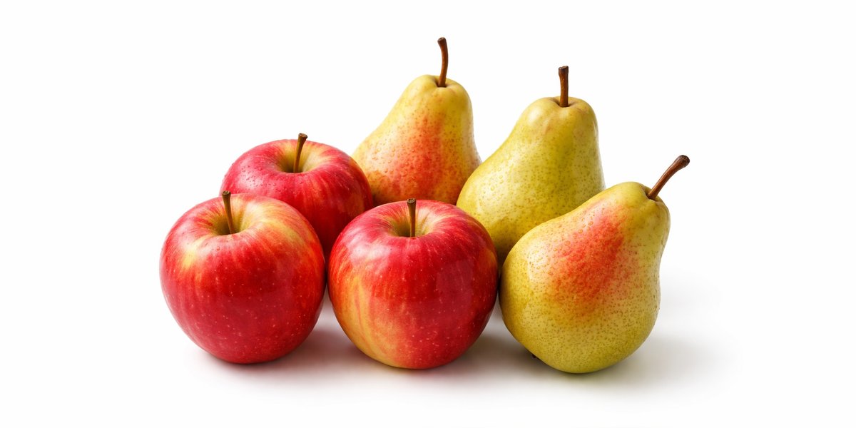 info@ergogenics.org tweet media