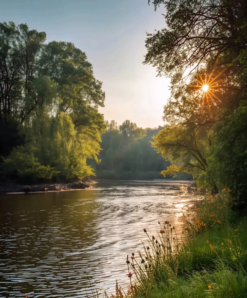 🦋 Amy 🦋 tweet media