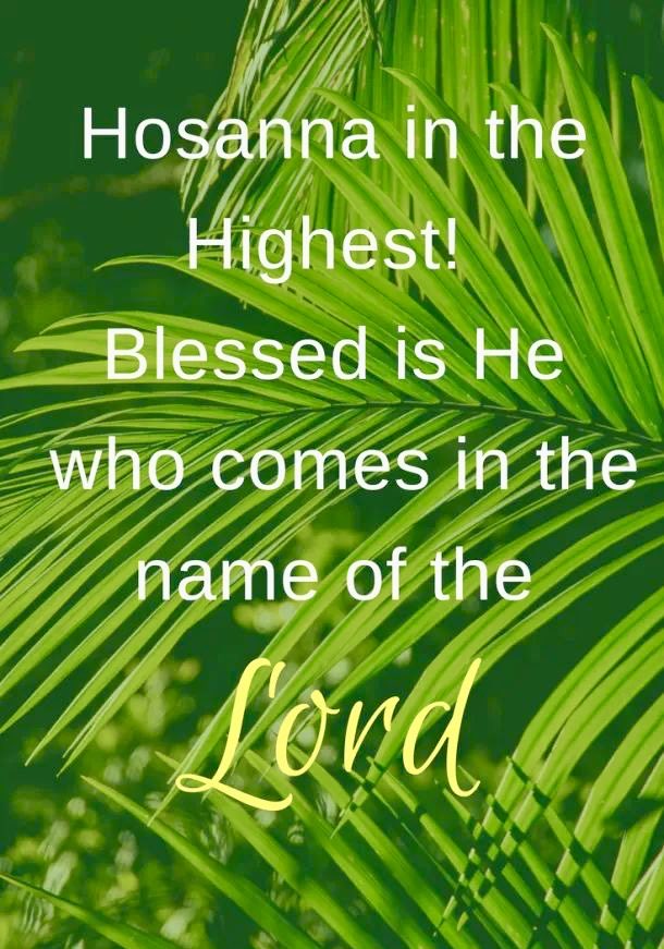 FlatEarthFlyer tweet media