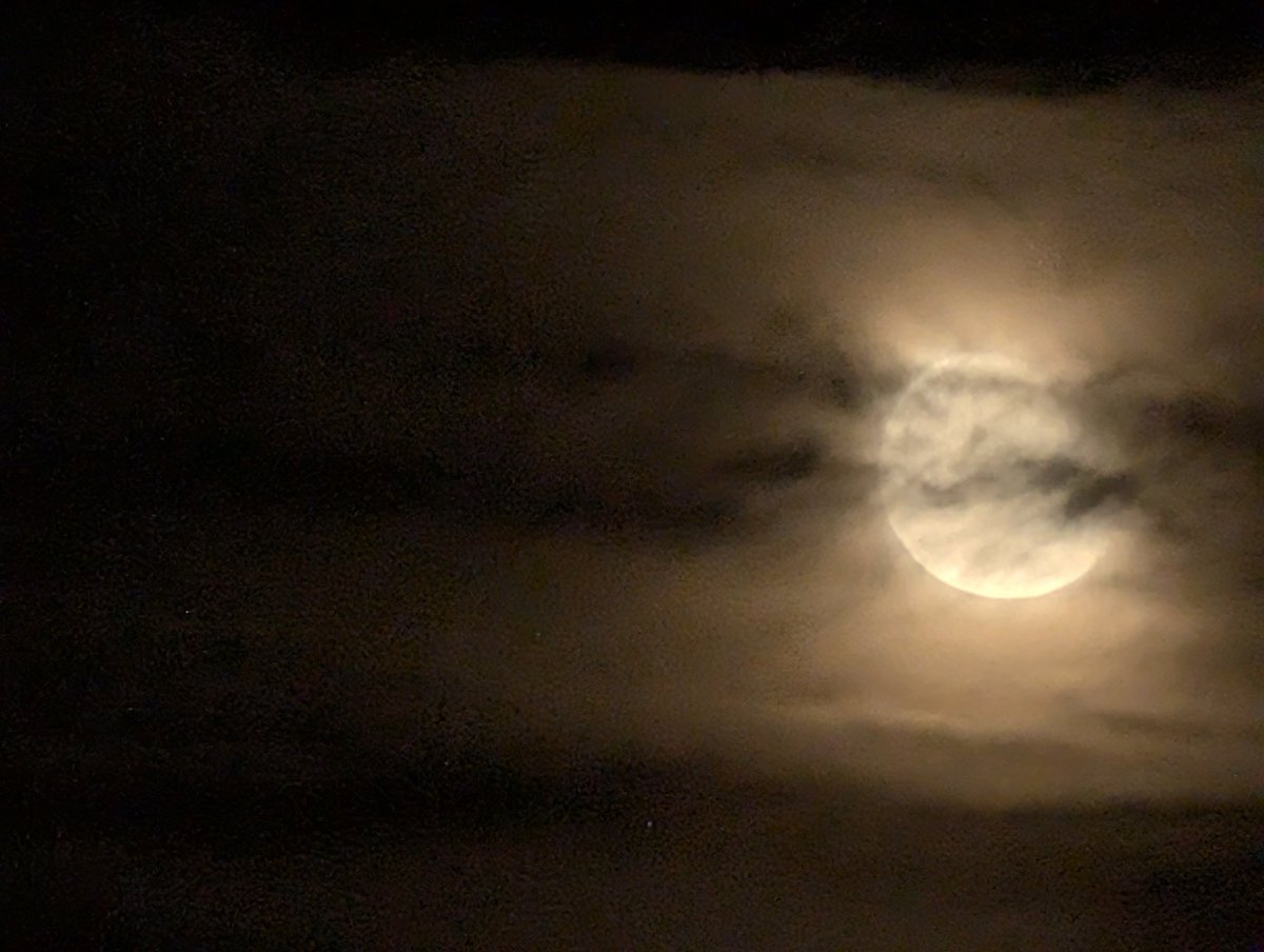 Loralee Logan 🌻🌻🌻 tweet media