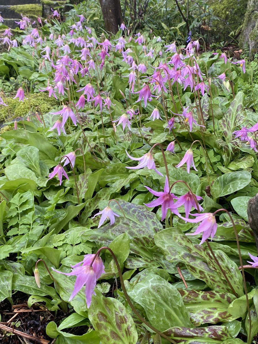 Michael Myers tweet media