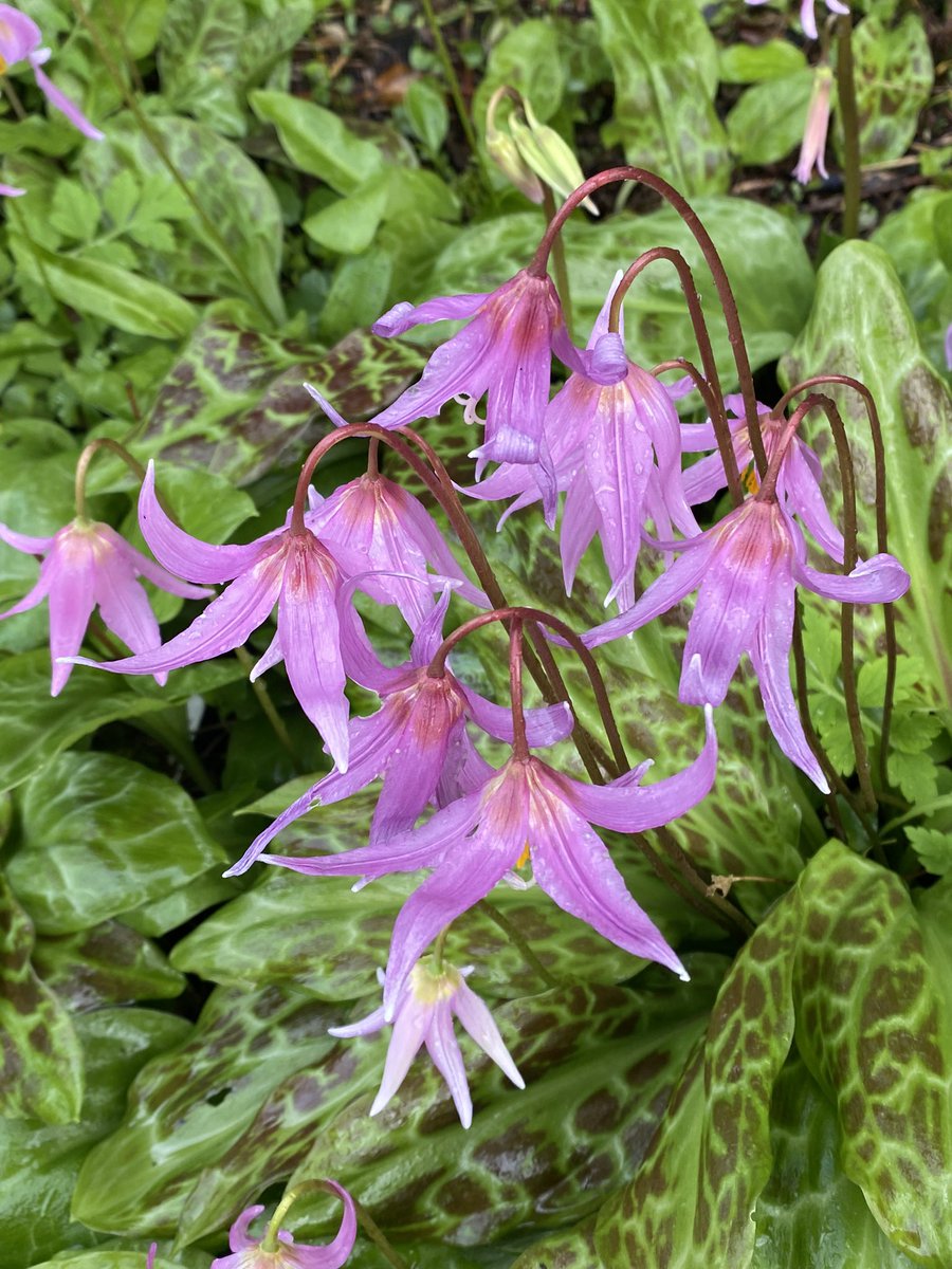 Michael Myers tweet media