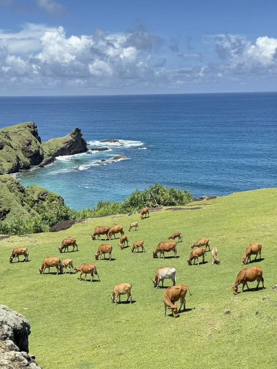 Noorie lova tweet media