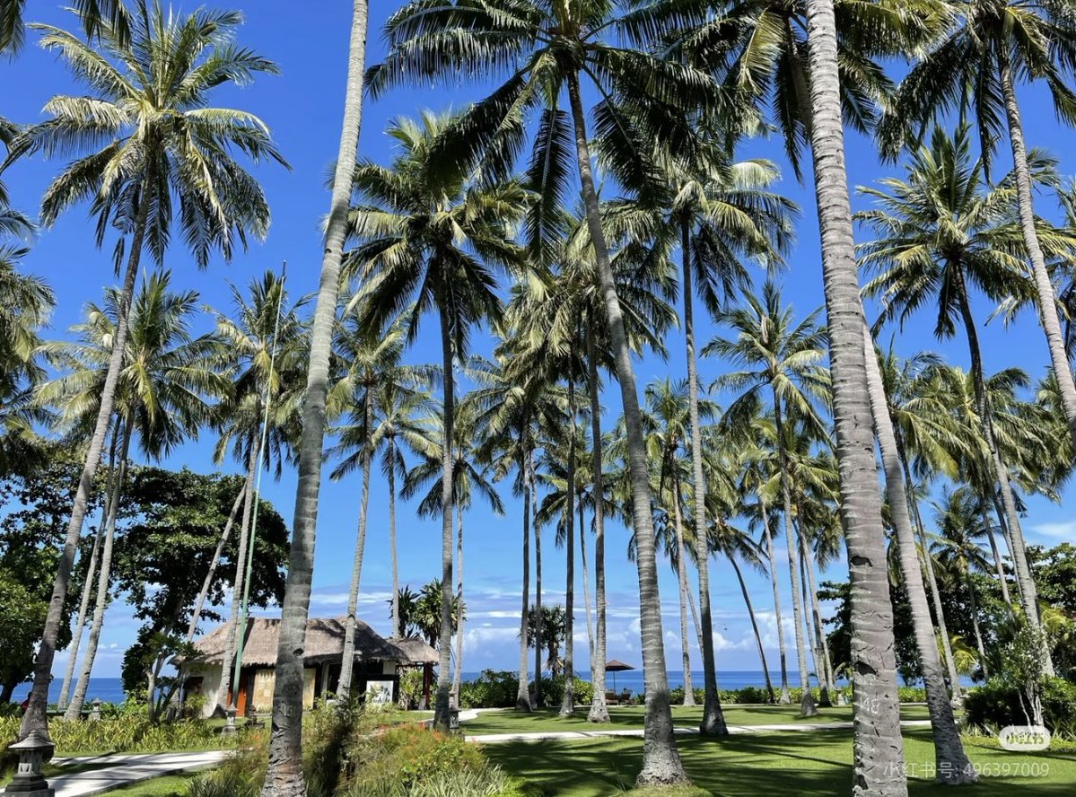 Noorie lova tweet media