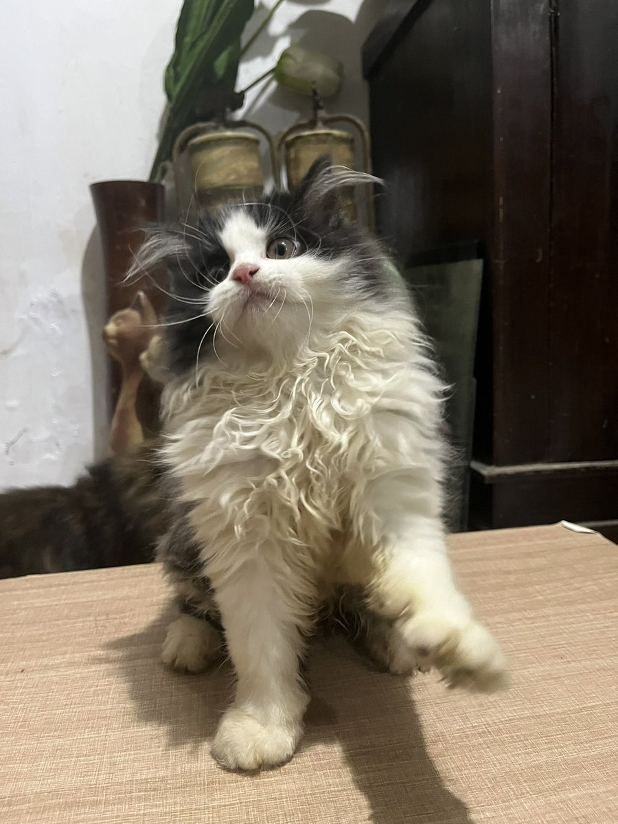 𝐝eden’sz tweet media