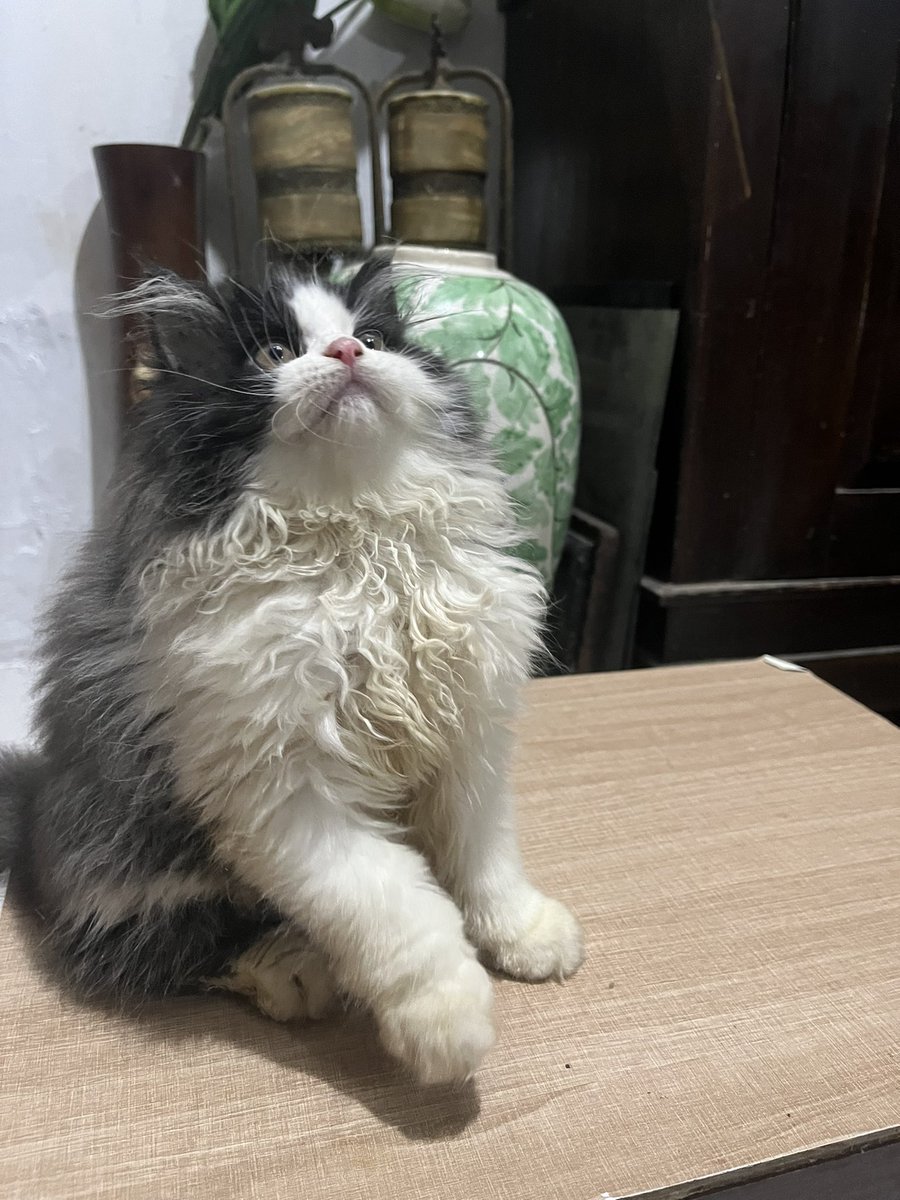 𝐝eden’sz tweet media