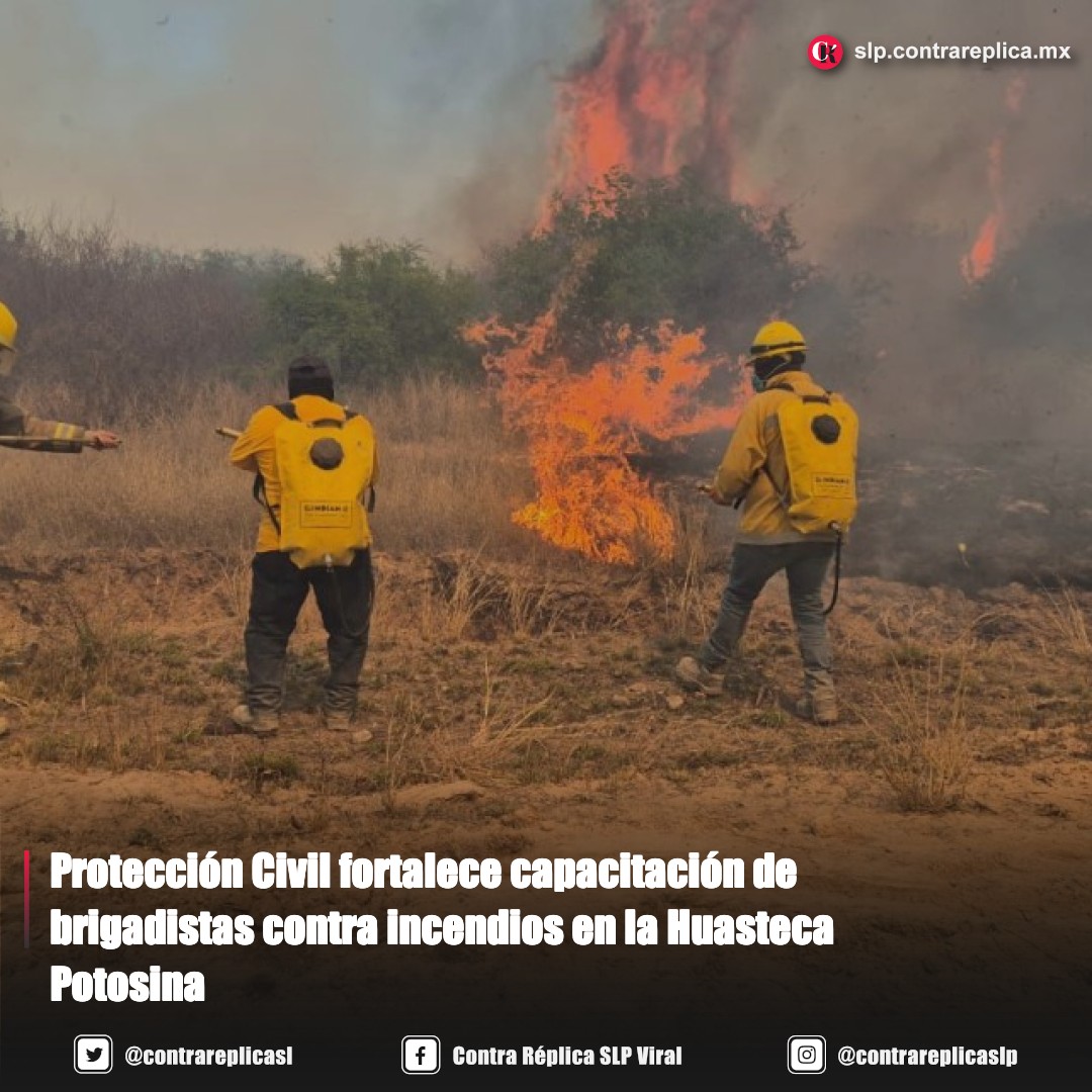 Contra Réplica San Luis Potosí tweet media