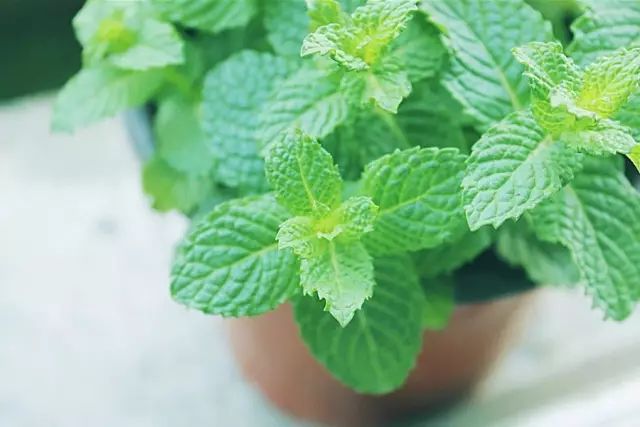 Joselyn ramos tweet media