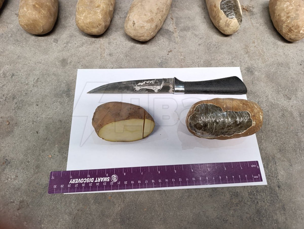 KAT AR SIS tweet media