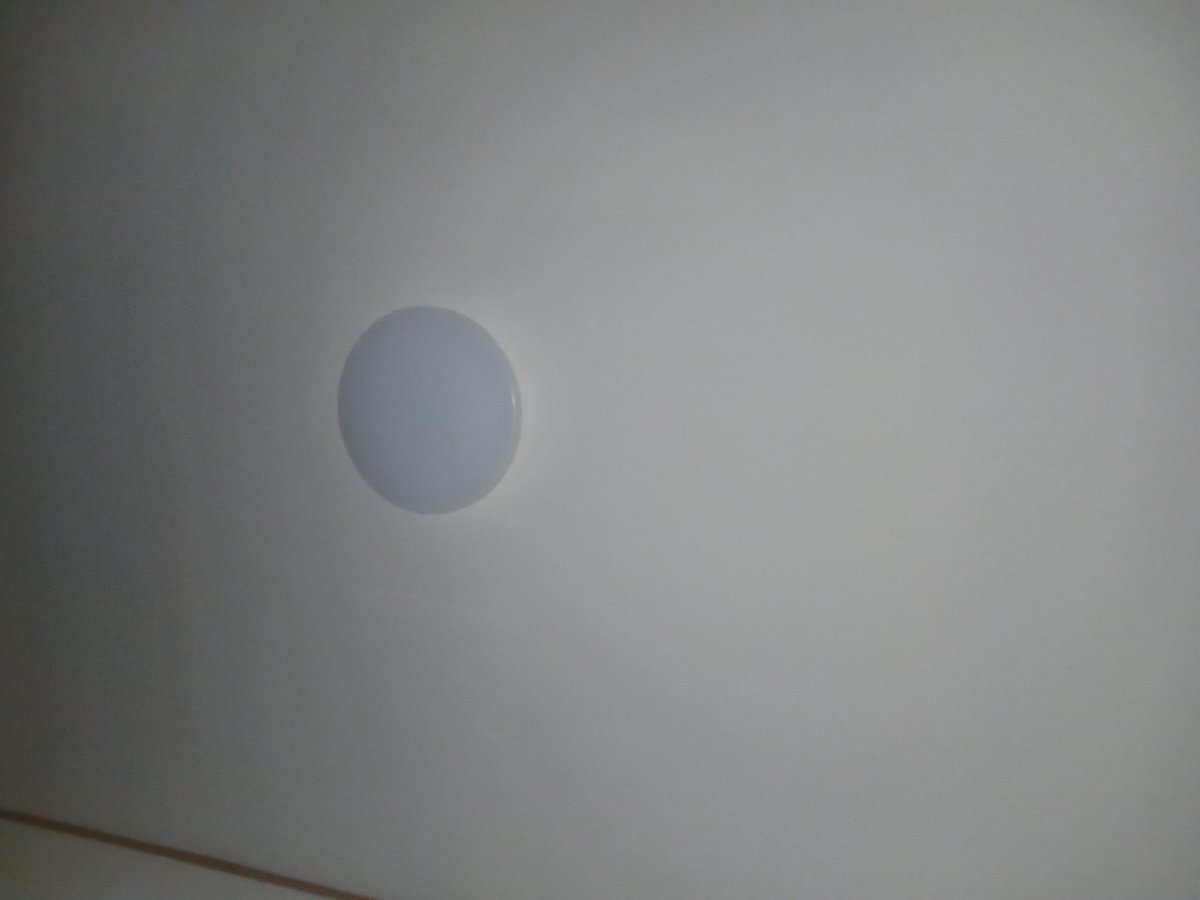 エキショビション tweet media