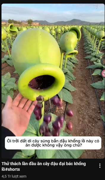 Tony ./ 🎒 tweet media