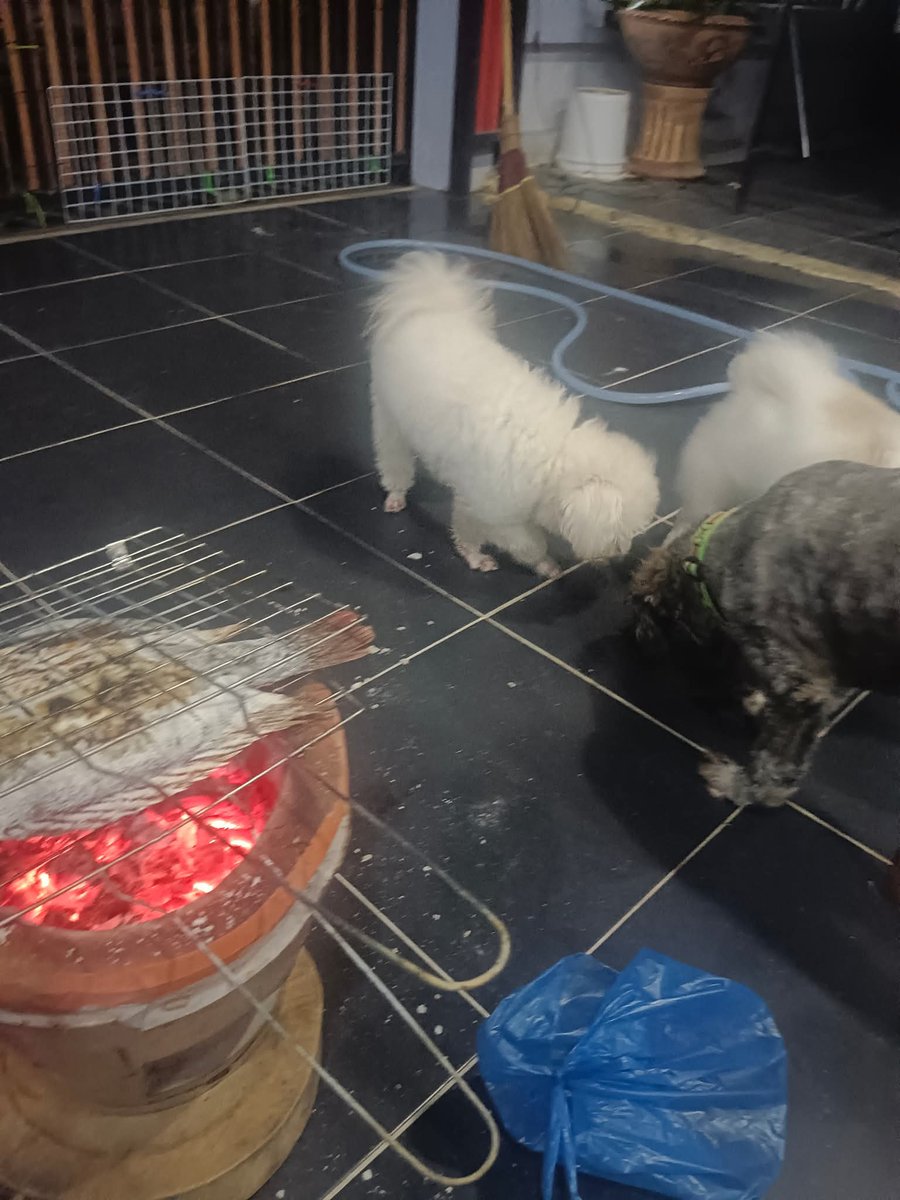 Anumoon Itsara tweet media