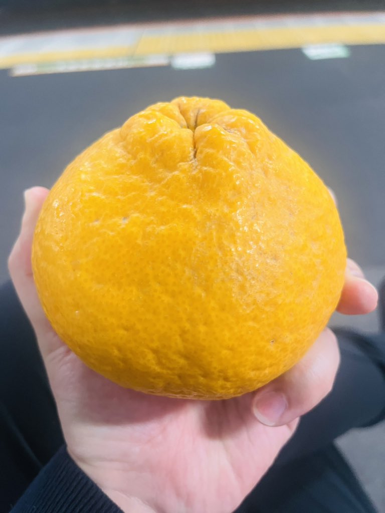 Sスワロフスキー tweet media